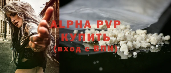 сатива Сосновый Бор