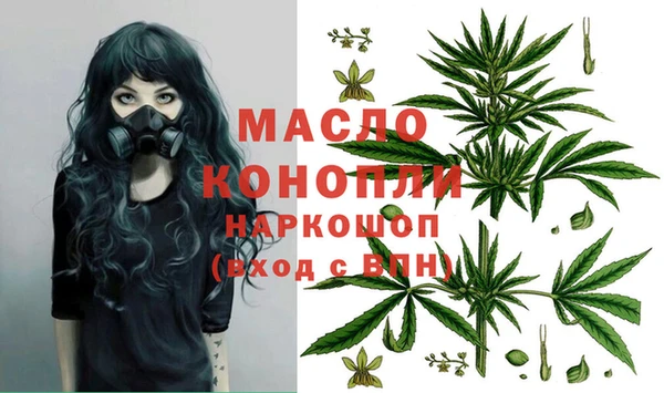 сатива Сосновый Бор