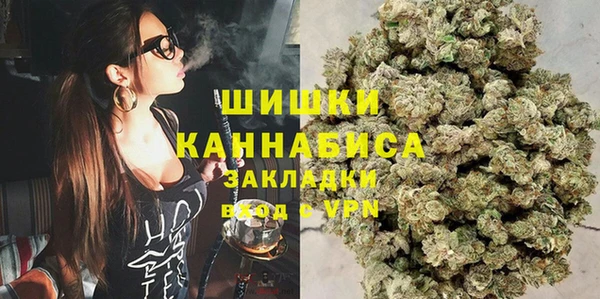 сатива Сосновый Бор