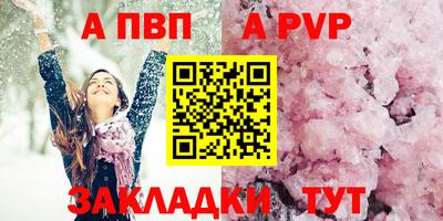 индика Пенза