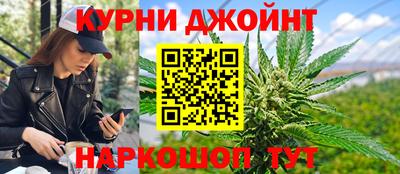 индика Пенза