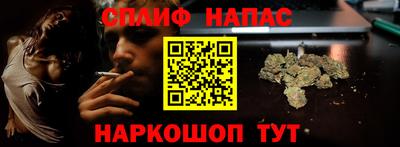 индика Пенза
