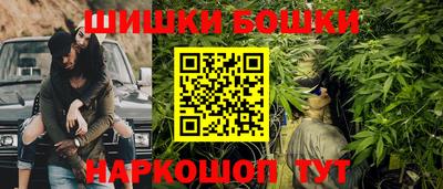 индика Пенза